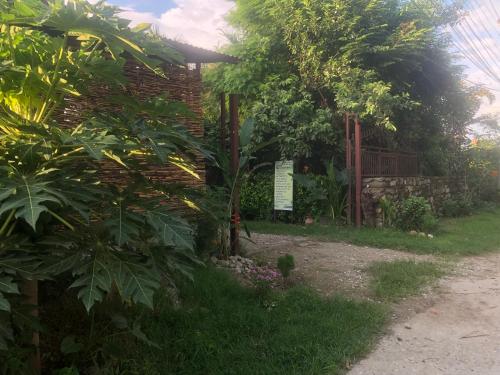 Tara guesthouse - Bagpacker`s Home - Tap to explore photos