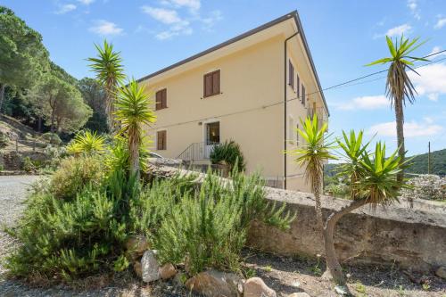  Annas House in Arbus