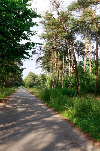 Agroturystyka u Koziołka