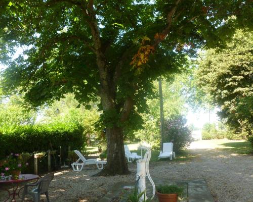 Skats, Gîte les Marronniers (Gite les Marronniers) in Albefeuille-Lagarde