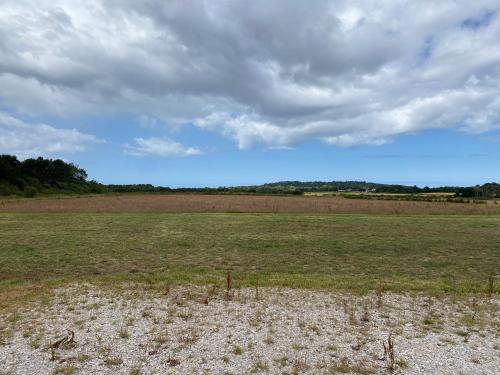 Thurstaston Field