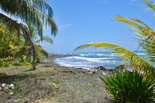 Beach, Casa Babsita in Cahuita
