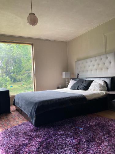 Zen Garden House in Jõgeva