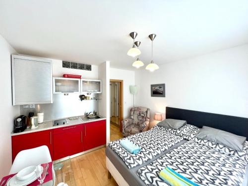 廚房, Apartman u lesa, Srni 119 in 簡妮