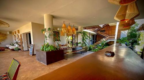 酒吧/高級酒吧, Maison Ylang Dive Center in 貝島