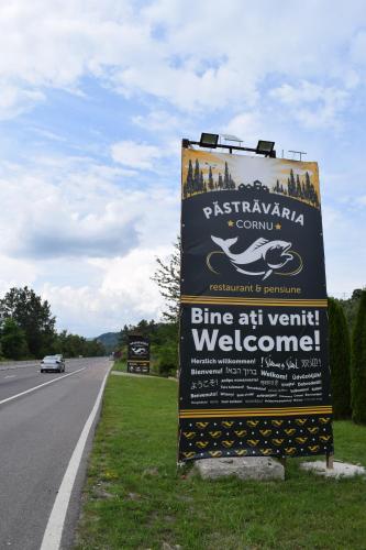 安瑞多旅馆 安瑞多旅馆