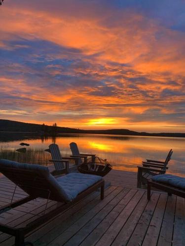 Algonquin Island 'Luxe Cottage