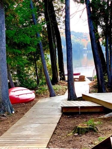 Algonquin Island 'Luxe' Cottage at the edge of the Park, South River (photo 9)