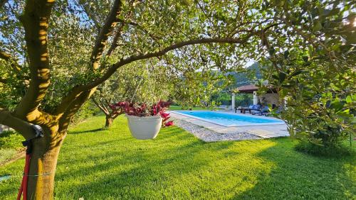 Holiday Home Natura with private pool