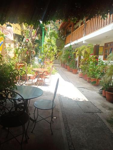 Garden, Hostal Mario's Rooms in Panajachel