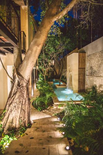 TreeHouse Boutique Hotel, an adults only boutique hotel in Mérida, Mexico