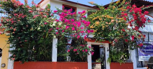 B&B Catemaco - Posada Bugambilias - Bed and Breakfast Catemaco