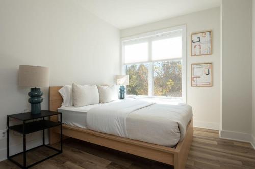 Piedmont Place Suite 303 - Apartment - Crozet