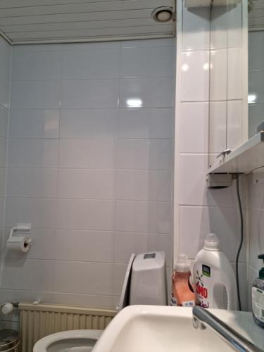 Kompakti yksio numero 3 pienkerrostalossa in Pori