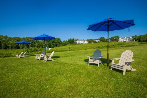 Island View Inn - image 8