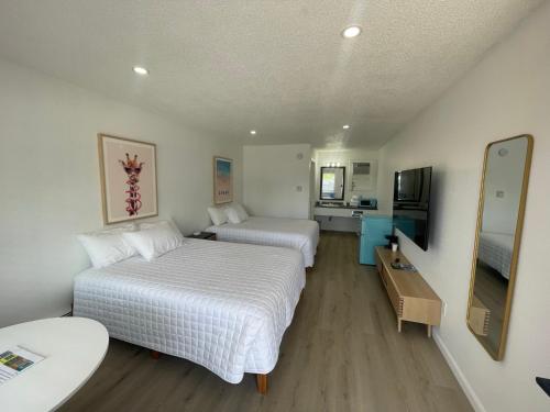 Double Room in Lake City, USA