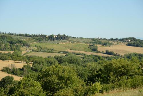  B&B Wine & Olive Oil Farm near Colle di Val d  Elsa Tappa 32 via francigena Ancient Road in Borgatello