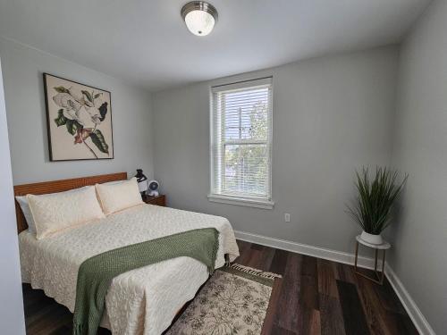Gorgeous and Spacious Studio at the Historic Inman - 200 - image 9