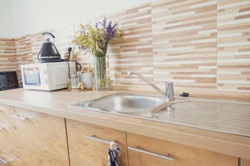 Facilities, Na Kopecku apartmany in Cista v Krkonosich