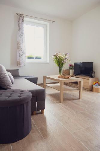 Shared lounge/TV area, Na Kopecku apartmany in Cista v Krkonosich