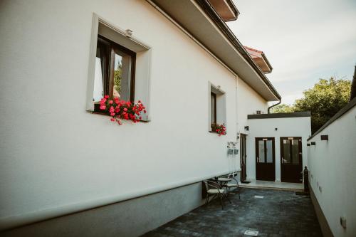 ARINI WHITE HOUSE