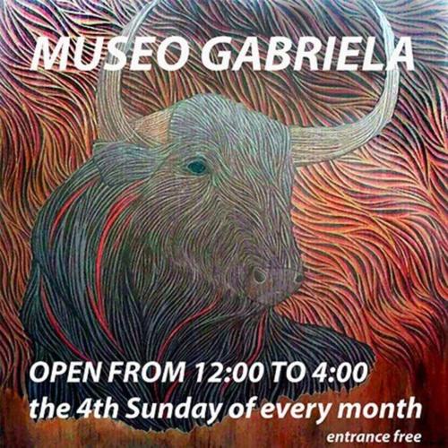 Museo Gabriela (stay in an art museum)