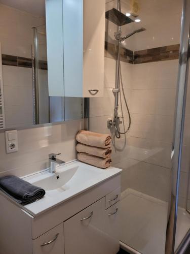 Bathroom, Haus 140 qm fur Monteure in Bad Salzschlirf