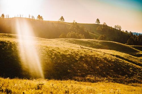 Creekside Lodge at Custer State Park Resort