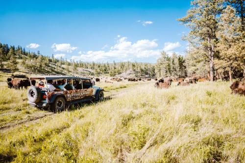 Creekside Lodge at Custer State Park Resort