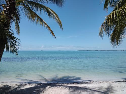 Freedom Shores "La Gringa" Hotel - Universally Designed