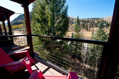 Black Bear 90 - image 5