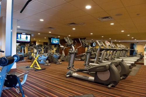 Black Bear 90 - image 7