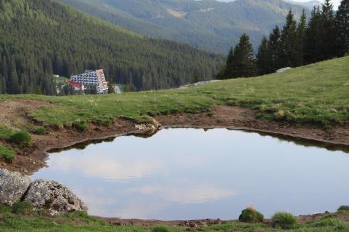 47573872 Hotel Pestera Wellness & Spa