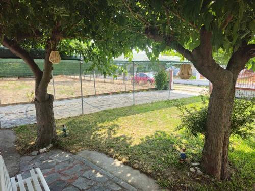 Spyros comfy and cool place