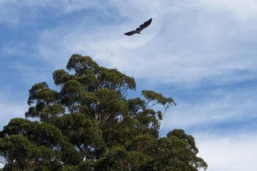 Salty Devil's Rest - Coastal Wilderness Shack