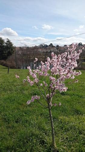 la ferme de fenivou in Chasse-sur-Rhone