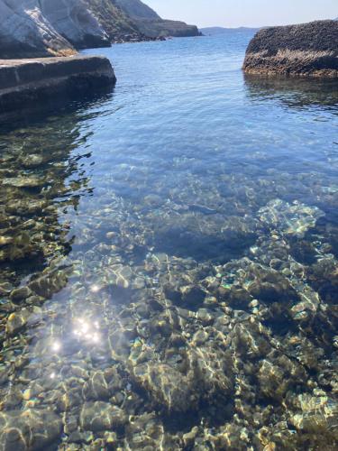 the monk seal boathouse