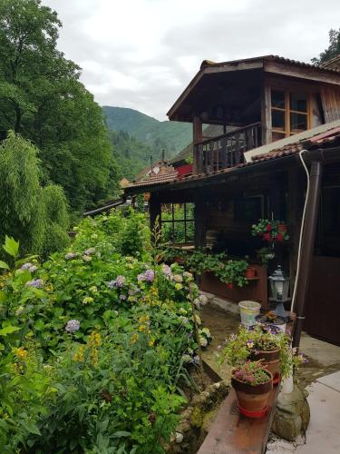 One-Bedroom Chalet