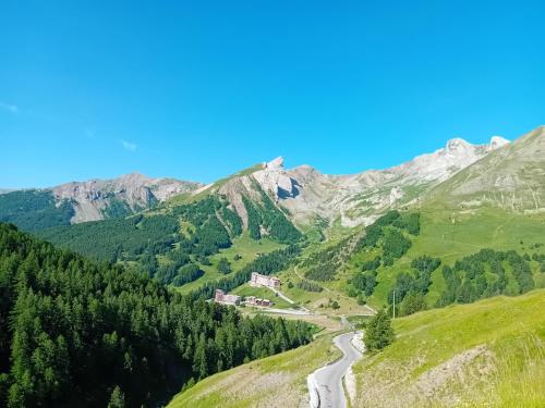 chamois tétras marmotte