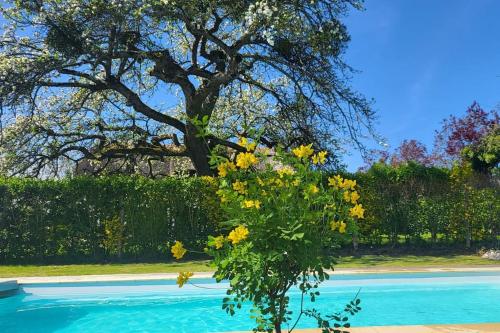 Belle chaumière avec piscine privée chauffée