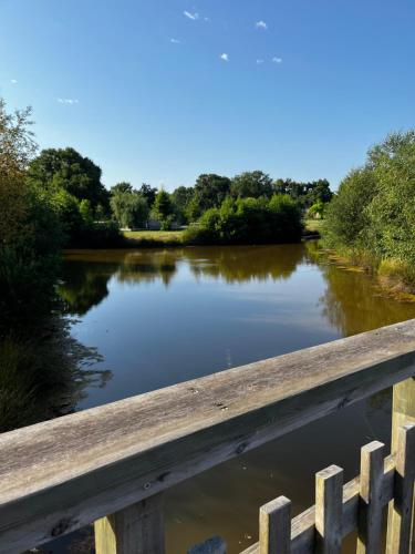 Le Nid du Teich - Location saisonnière - Le Teich