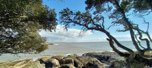 Campagne et Mer chambre d'hôte Saint-André-de-Lidon