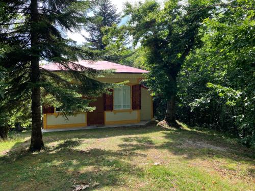  Casa del Castagno: un nido nel castagneto in Pistoia