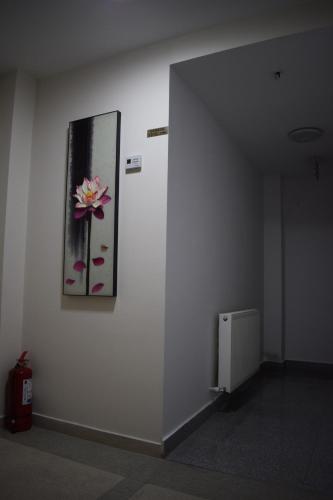 安瑞多旅馆 安瑞多旅馆