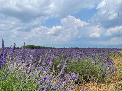 Studio - Gréoux les Bains Studio - Gréoux les Bains