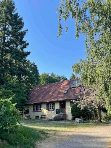 Rebhaus Durbach in Durbach