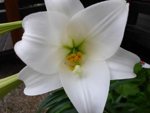 Studios Resbithas Studios Resbithas