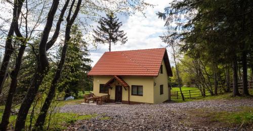 Bencekerti kulcsosház - Apartment - Căpîlniţa