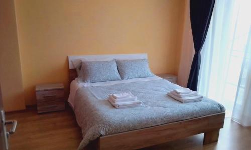 ALINA RESIDENCE - Apartment - Sibiu
