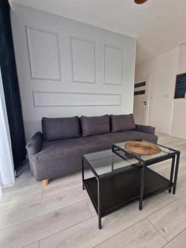 60 - Apartamenty Siedlce - Nowy apartament w centrum przy ul 3 Maja 51a, Siedlce (zdjęcie 3)